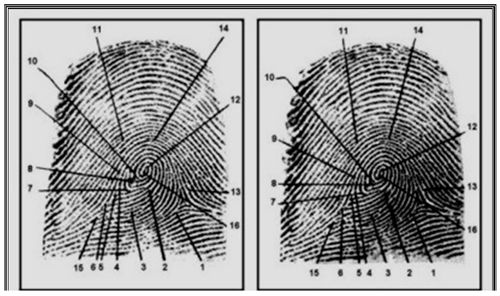 crestomatia